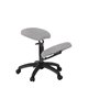 S2602 - STOOLS / CHAIRS - Ecopostural