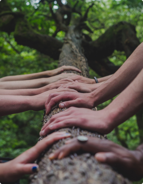 Die Ziele für nachhaltige Entwicklung (SDG) in Ecopostural